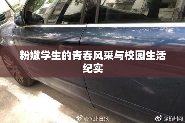 粉嫩学生的青春风采与校园生活纪实