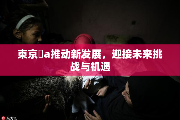 柬京埶a推动新发展，迎接未来挑战与机遇