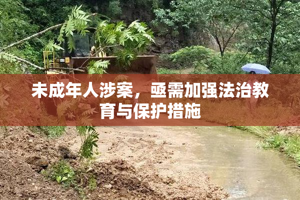 未成年人涉案，亟需加强法治教育与保护措施