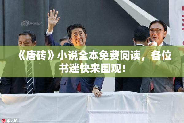 《唐砖》小说全本免费阅读，各位书迷快来围观！