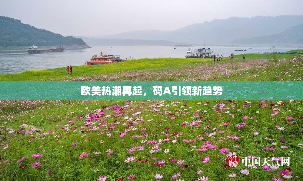 欧美热潮再起，码A引领新趋势