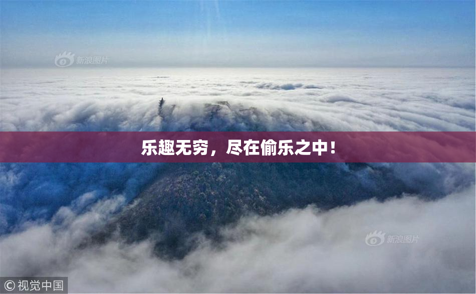 乐趣无穷，尽在偷乐之中！