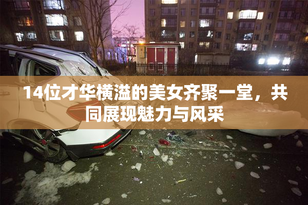 14位才华横溢的美女齐聚一堂，共同展现魅力与风采