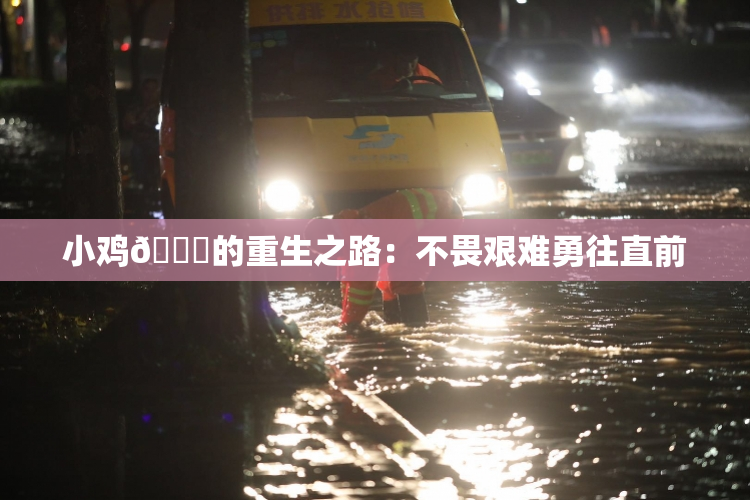 小鸡🐔的重生之路：不畏艰难勇往直前