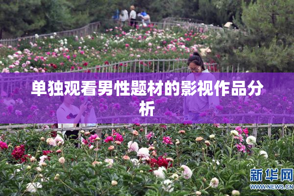 单独观看男性题材的影视作品分析