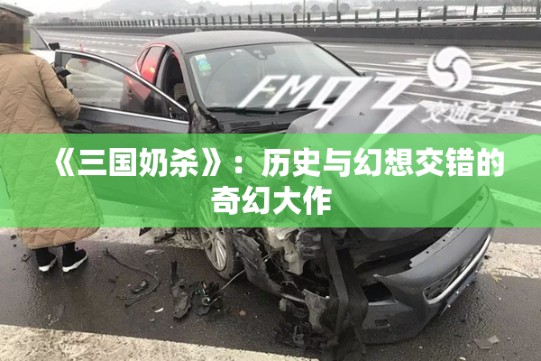 《三国奶杀》：历史与幻想交错的奇幻大作