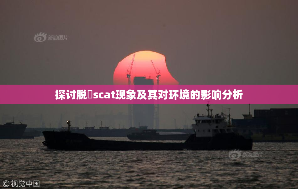 探讨脱糞scat现象及其对环境的影响分析