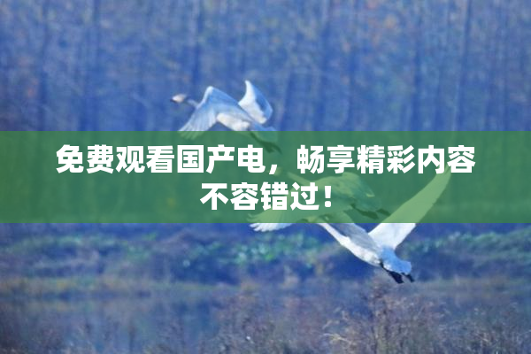 免费观看国产电，畅享精彩内容不容错过！
