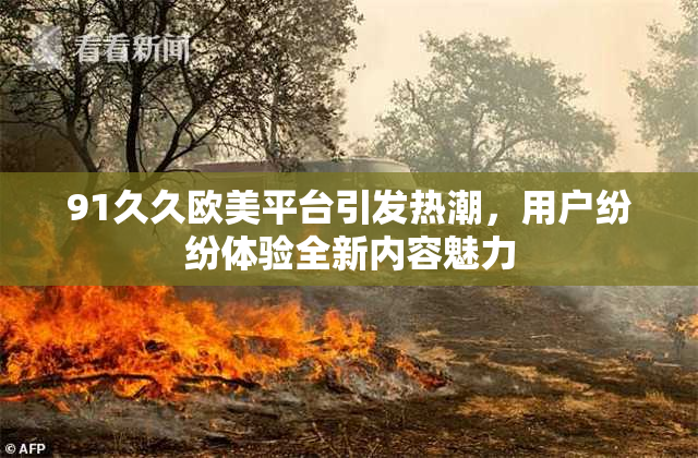 91久久欧美平台引发热潮，用户纷纷体验全新内容魅力