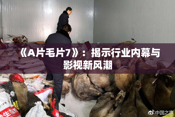 《A片毛片7》：揭示行业内幕与影视新风潮