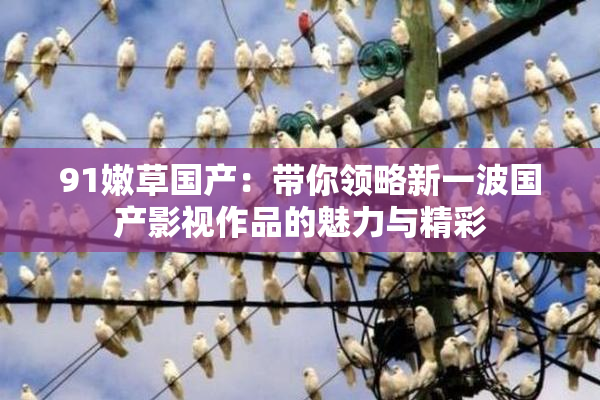 91嫩草国产：带你领略新一波国产影视作品的魅力与精彩