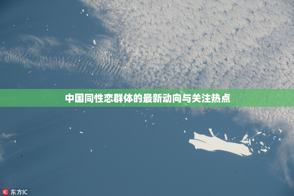 中国同性恋群体的最新动向与关注热点