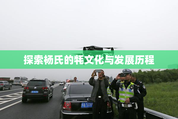 探索杨氏的牦文化与发展历程