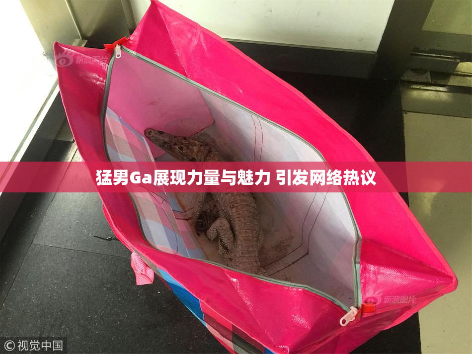 猛男Ga展现力量与魅力 引发网络热议