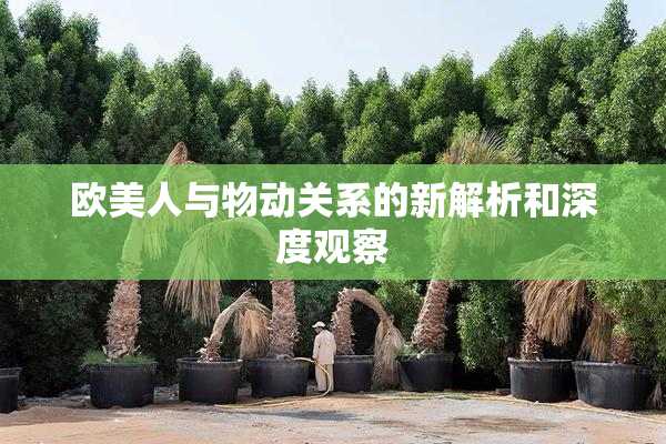 欧美人与物动关系的新解析和深度观察