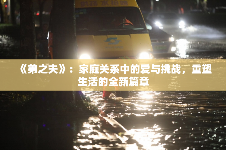 《弟之夫》：家庭关系中的爱与挑战，重塑生活的全新篇章