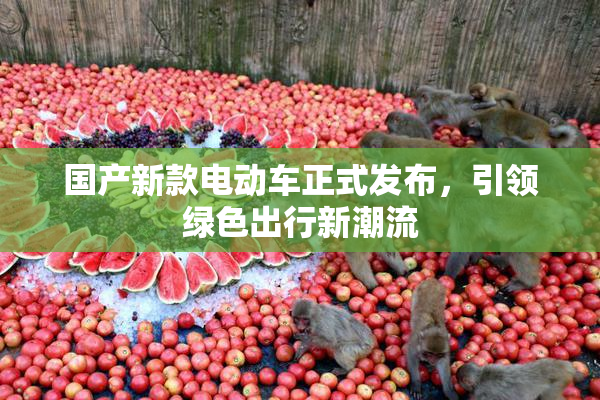 国产新款电动车正式发布，引领绿色出行新潮流
