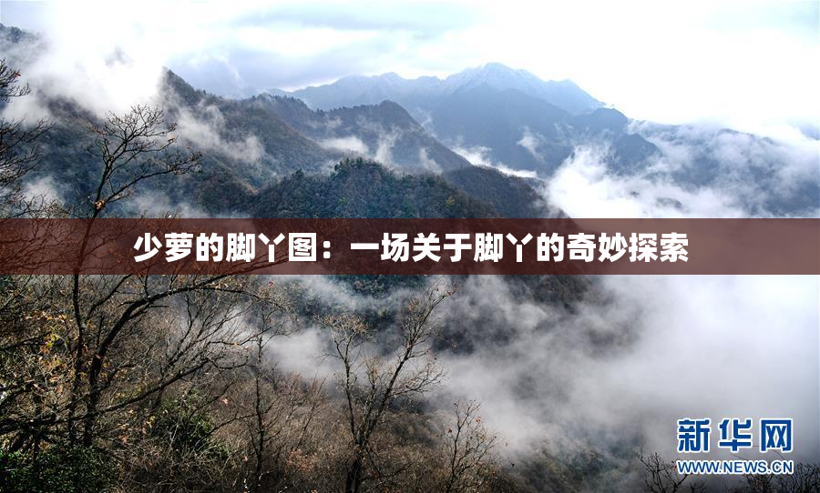 少萝的脚丫图：一场关于脚丫的奇妙探索