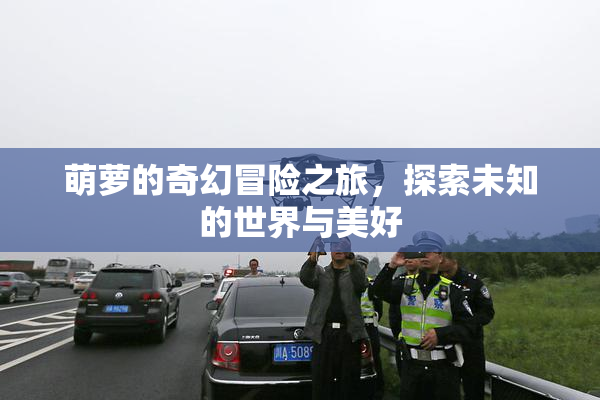 萌萝的奇幻冒险之旅，探索未知的世界与美好