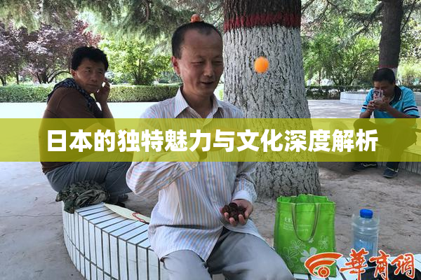 日本的独特魅力与文化深度解析