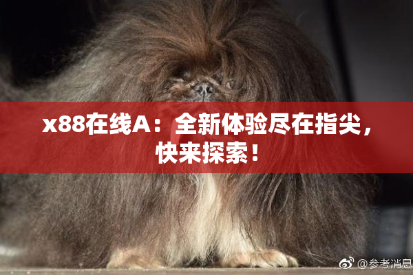 x88在线A：全新体验尽在指尖，快来探索！