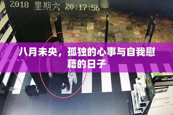 八月未央，孤独的心事与自我慰藉的日子