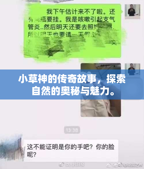 小草神的传奇故事，探索自然的奥秘与魅力。