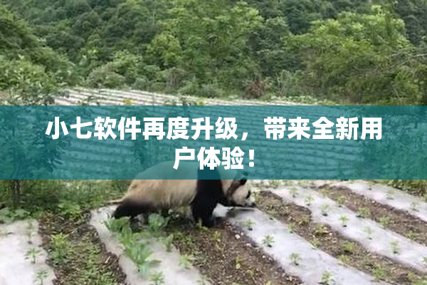 小七软件再度升级，带来全新用户体验！