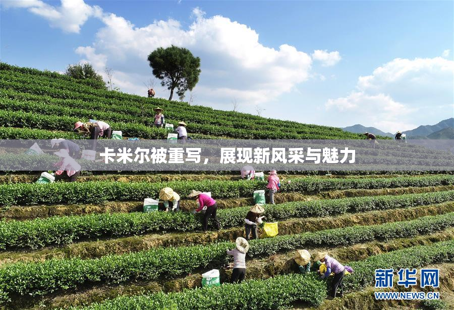 卡米尔被重写，展现新风采与魅力