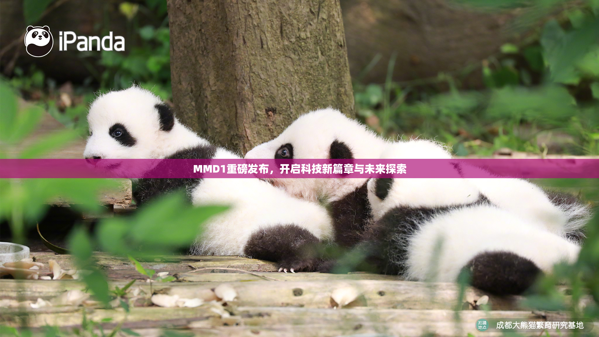 MMD1重磅发布，开启科技新篇章与未来探索
