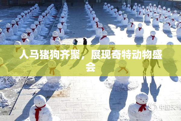 人马猪狗齐聚，展现奇特动物盛会
