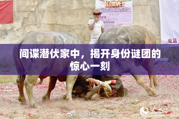 间谍潜伏家中，揭开身份谜团的惊心一刻