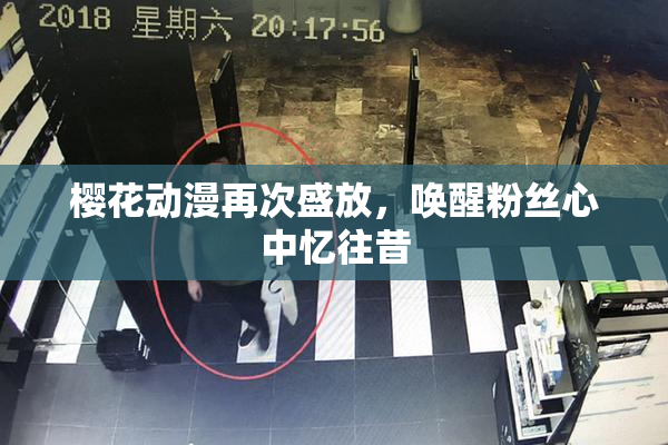 樱花动漫再次盛放，唤醒粉丝心中忆往昔