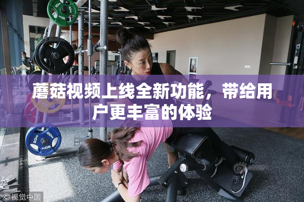 蘑菇视频上线全新功能，带给用户更丰富的体验