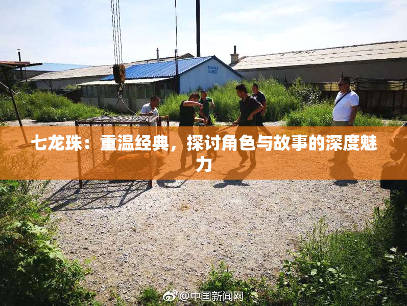 七龙珠：重温经典，探讨角色与故事的深度魅力