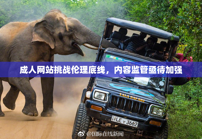 成人网站挑战伦理底线，内容监管亟待加强