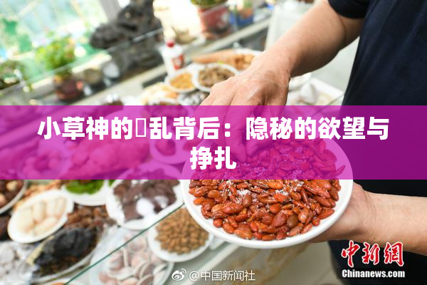 小草神的婬乱背后：隐秘的欲望与挣扎