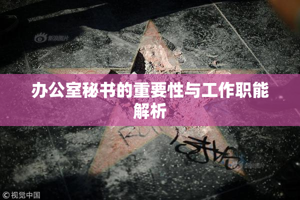 办公室秘书的重要性与工作职能解析
