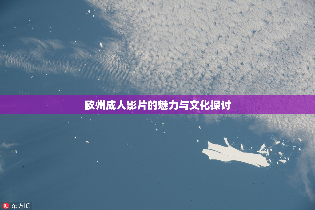欧州成人影片的魅力与文化探讨