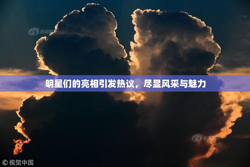 明星们的亮相引发热议，尽显风采与魅力