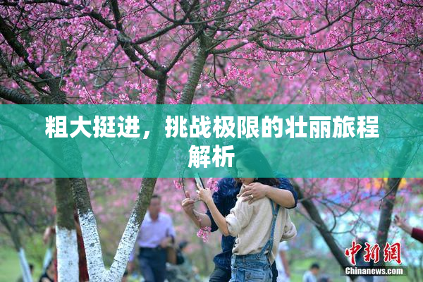 粗大挺进，挑战极限的壮丽旅程解析