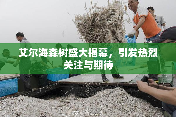 艾尔海森树盛大揭幕，引发热烈关注与期待