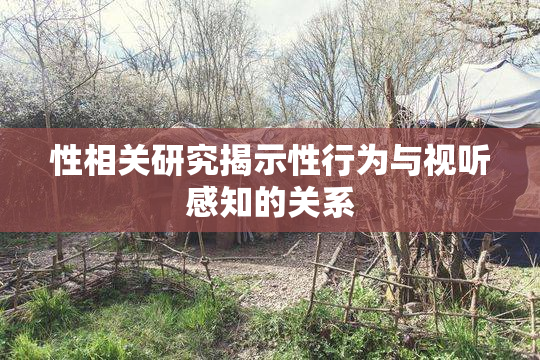 性相关研究揭示性行为与视听感知的关系