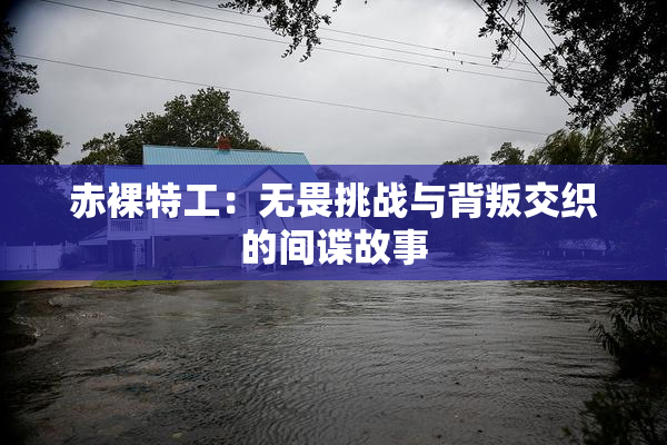 赤裸特工：无畏挑战与背叛交织的间谍故事