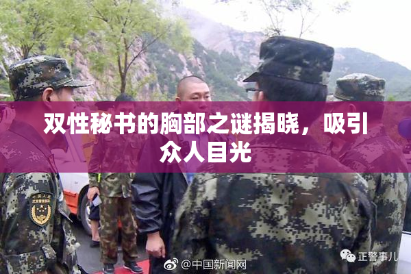 双性秘书的胸部之谜揭晓，吸引众人目光