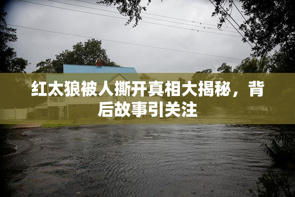 红太狼被人撕开真相大揭秘，背后故事引关注