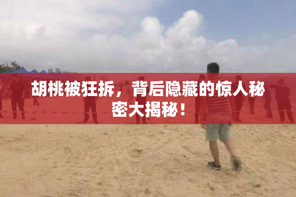 胡桃被狂拆，背后隐藏的惊人秘密大揭秘！