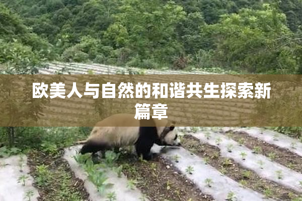 欧美人与自然的和谐共生探索新篇章