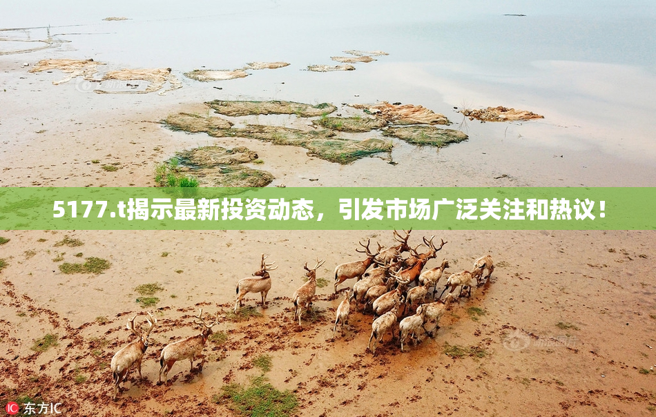 5177.t揭示最新投资动态，引发市场广泛关注和热议！