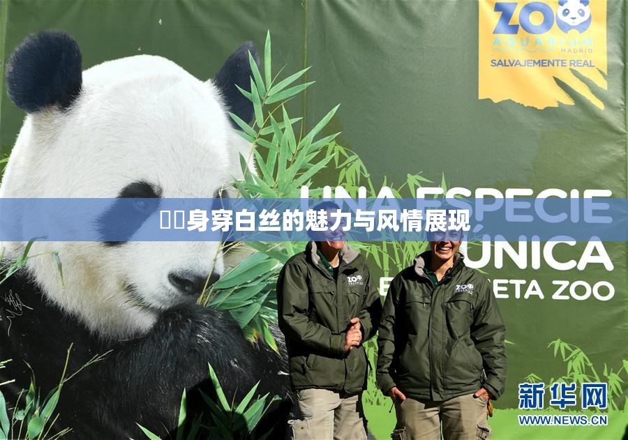 妺妺身穿白丝的魅力与风情展现